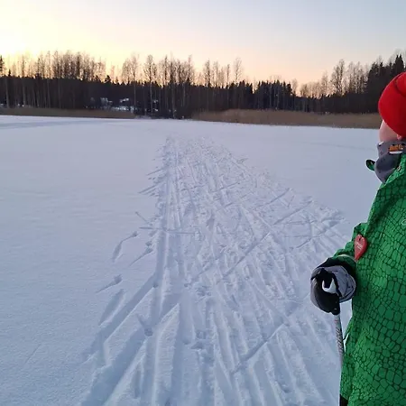 Ferienhaus Arolahti *