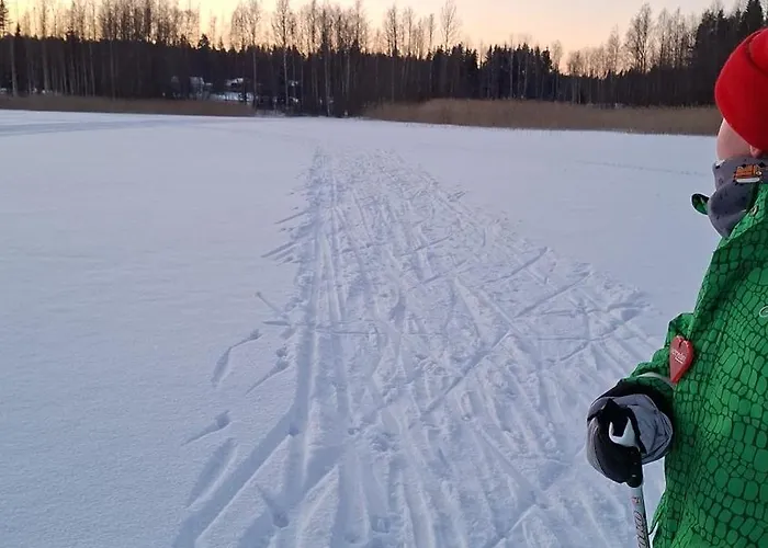 Ferienhaus Arolahti *